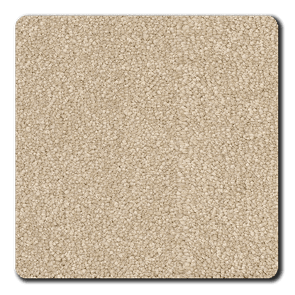 Momentum II in Westwood Carpet